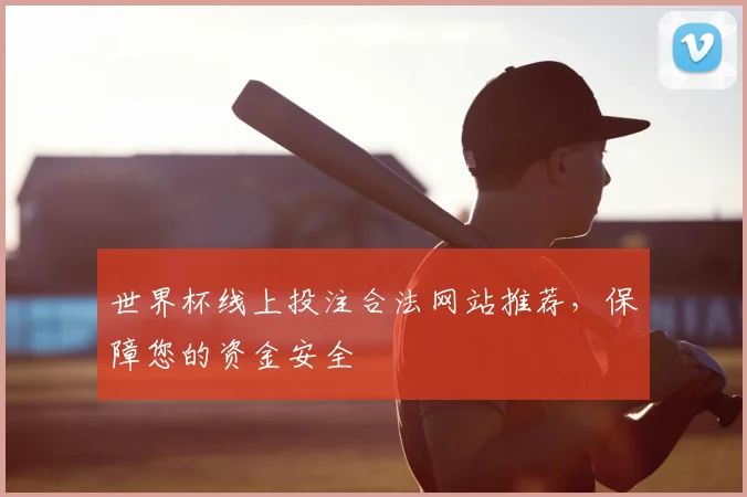 世界杯线上投注合法网站推荐,保障您的资金安全