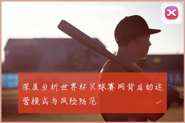 深度分析世界杯买球赛网背后的运营模式与风险防范