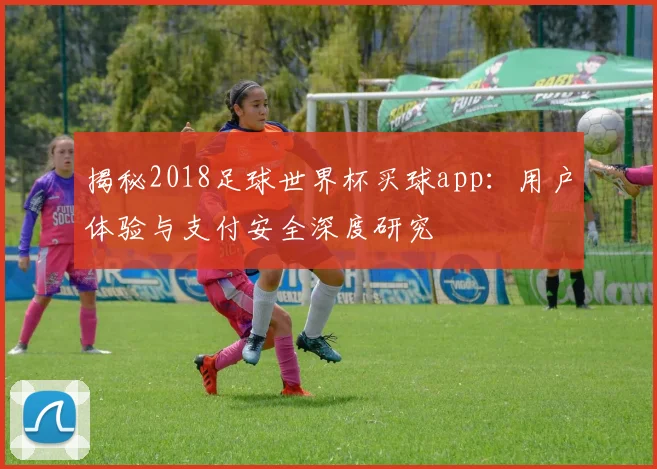 揭秘2018足球世界杯买球app:用户体验与支付安全深度研究