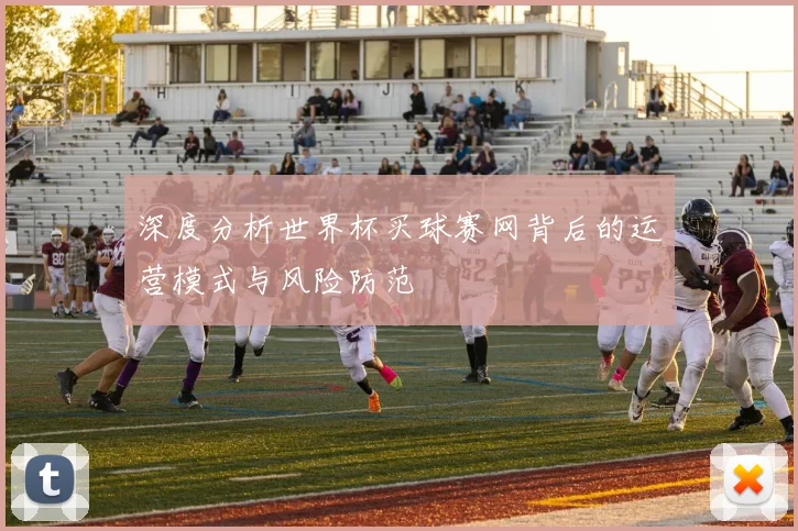 深度分析世界杯买球赛网背后的运营模式与风险防范