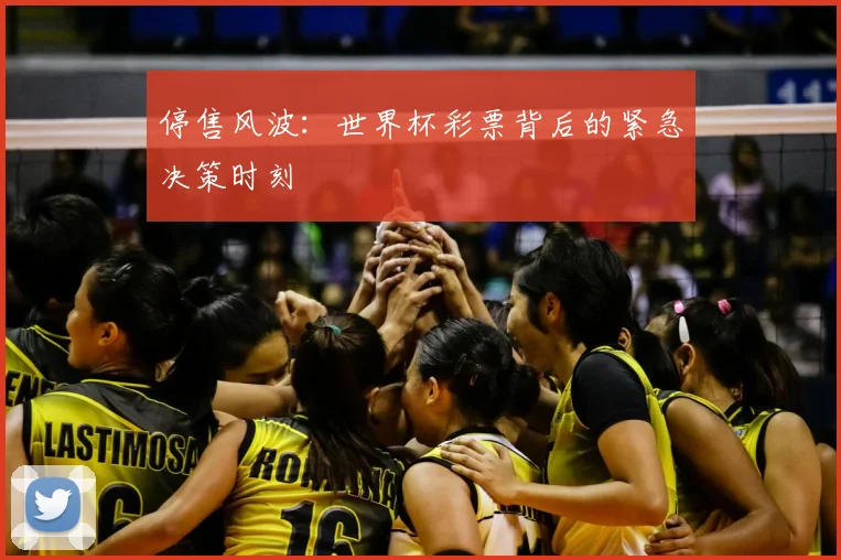停售风波:世界杯彩票背后的紧急决策时刻