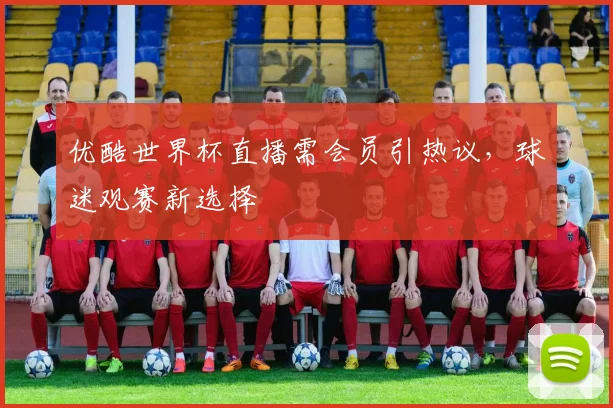 优酷世界杯直播需会员引热议,球迷观赛新选择