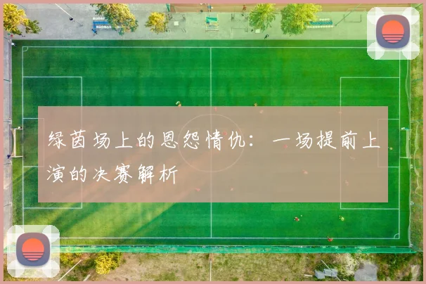 绿茵场上的恩怨情仇:一场提前上演的决赛解析