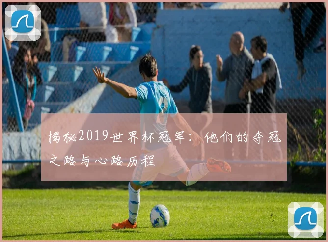 揭秘2019世界杯冠军:他们的夺冠之路与心路历程