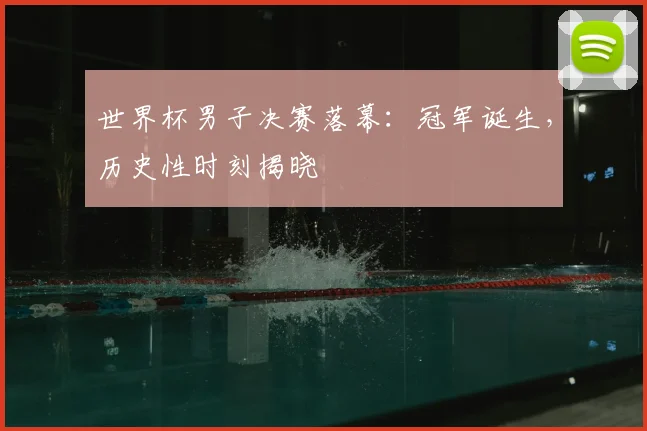 世界杯男子决赛落幕:冠军诞生,历史性时刻揭晓