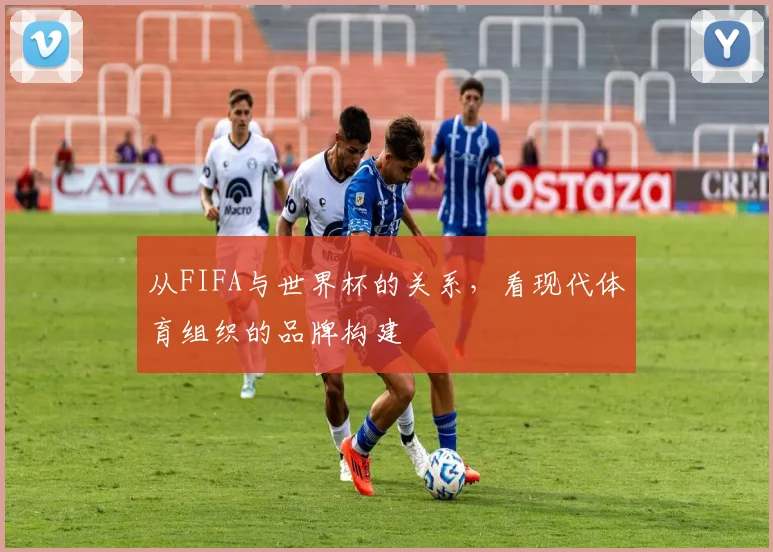 从FIFA与世界杯的关系,看现代体育组织的品牌构建