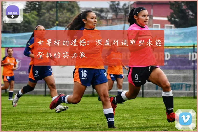 世界杯的遗憾：深度对谈那些未能登机的实力派