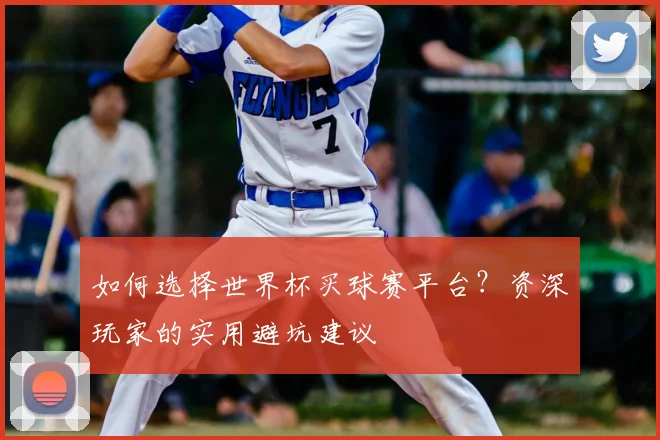 如何选择世界杯买球赛平台？资深玩家的实用避坑建议