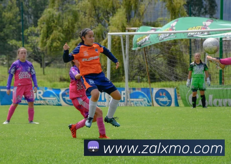 云开在线登录APP 体育赛事宣传图